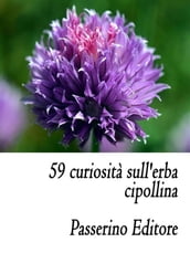 59 curiosità sull erba cipollina