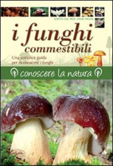 I funghi commestibili