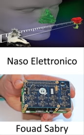 Naso Elettronico