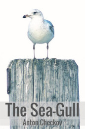 The sea-gull