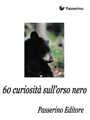 60 curiosità sull'orso nero