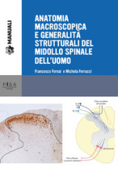 Anatomia macroscopica e generalità strutturali del midollo spinale dell uomo