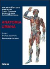 Anatomia umana. 3.Sistema nervoso, organi di senso