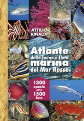 Atlante della fauna e flora marina del Mar Rosso. Ediz. illustrata