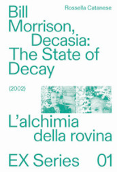 Bill Morrison, Decasia: The state of decay (2002). L alchimia della rovina