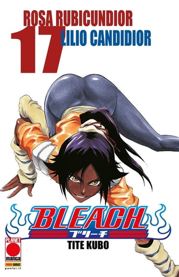 Bleach 17