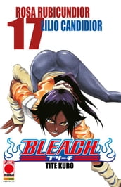 Bleach 17