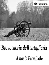 Breve storia dell artiglieria