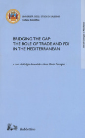 Bridging the gap: the role of trade and FDI in the Mediterranean