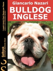 Bulldog Inglese