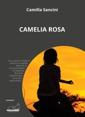 Camelia Rosa