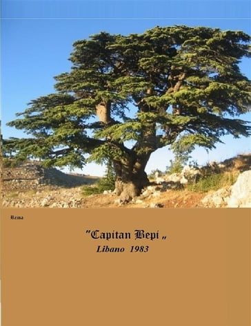 "Capitan Bepi" Libano 1983