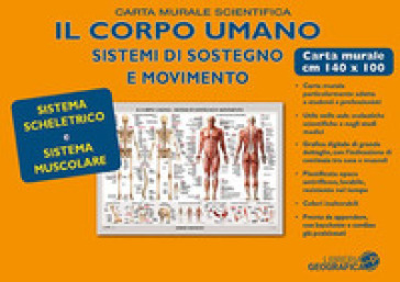 Corpo umano. Sistema scheletrico e muscolare. Carta murale scientifica. Ediz. a colori