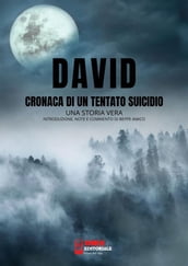 David, cronaca di un tentato suicidio - una storia vera