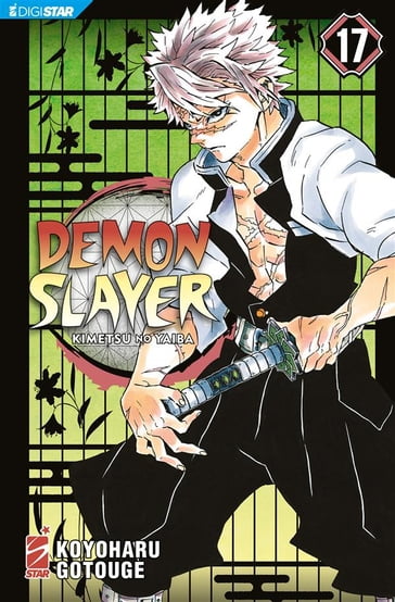 Demon Slayer - Kimetsu no yaiba 17