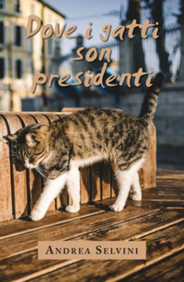 Dove i gatti son presidenti