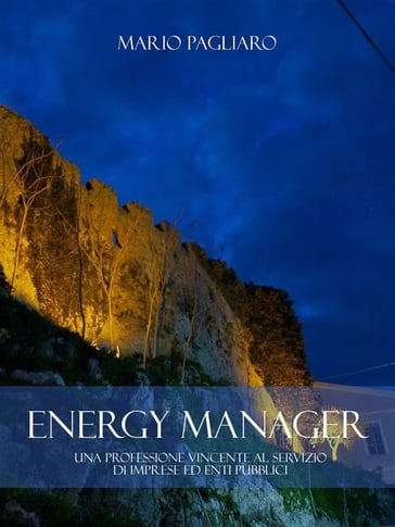 Energy manager: Una professione vincente al servizio di imprese ed enti pubblici
