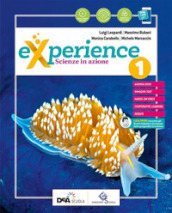 Experience. Per la Scuola media. Con e-book. Con DVD-ROM. Con Libro: Scienze block. Vol. 1