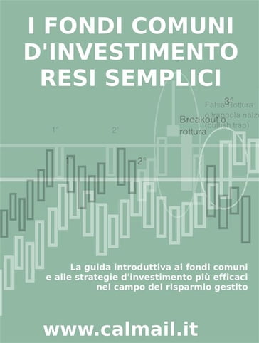 I FONDI COMUNI D'INVESTIMENTO RESI SEMPLICI. La guida introduttiva ai fondi comuni e alle strategie d'investimento più efficaci nel campo del risparmio gestito.