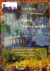 Feltre, amore acerbo. Poesie in dialetto veneto con traduzione in italiano. Gian Berra 2020