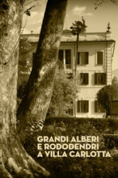 Grandi alberi e rododendri a Villa Carlotta