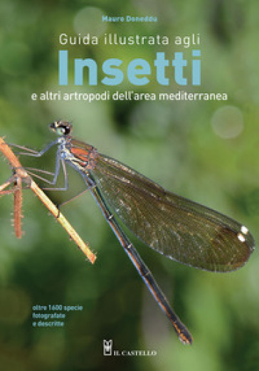 Guida illustrata agli insetti e altri artropodi dell'area mediterranea. Ediz. illustrata