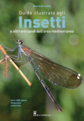 Guida illustrata agli insetti e altri artropodi dell area mediterranea. Ediz. illustrata