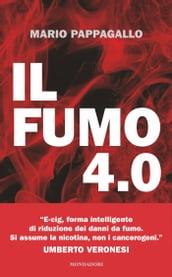 IL FUMO 4.0