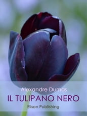 Il tulipano nero