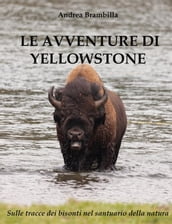 Le Avventure di Yellowstone