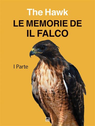 Le memorie de "Il Falco"