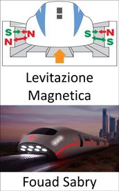 Levitazione Magnetica
