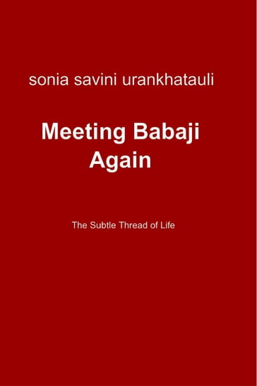 Meeting Babaji Again