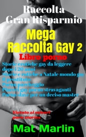 Mega raccolta gay 2