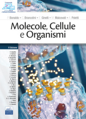 Molecole, cellule e organismi. Con QR-code