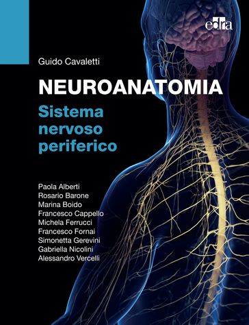 NEUROANATOMIA Sistema nervoso periferico