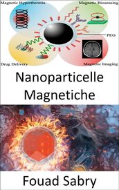Nanoparticelle Magnetiche