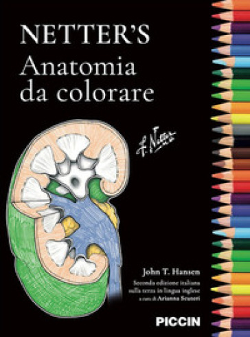 Netter's. Anatomia da colorare