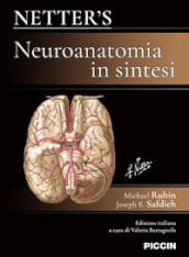 Netter s. Neuroanatomia in sintesi