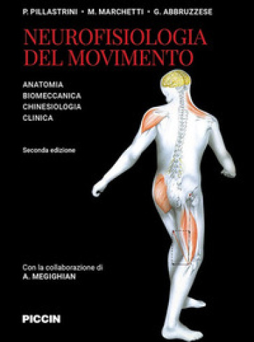 Neurofisiologia del movimento. Anatomia, biomeccanica, chinesiologia, clinica