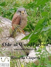 Ode al Woodpigeon - Ovvero come vivere liberi