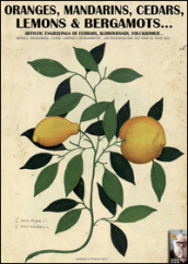 Oranges, mandarins, cedars, lemons & bergamots... Artistic engravings of Ferrari, Aldovrandi, Volckhamer...