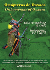 Ortopteros de Oaxaca. Fotografica de campo-Orthopterans of Oaxaca. Photographic field guide. Ediz. illustrata