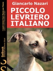 PICCOLO LEVRIERO ITALIANO