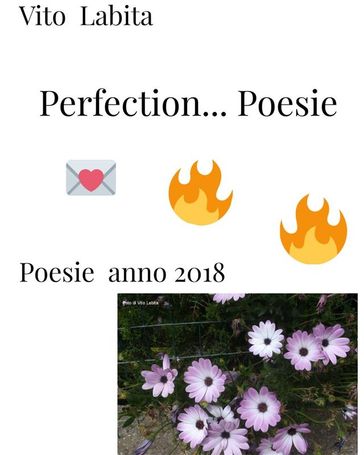Perfection .... Poesie