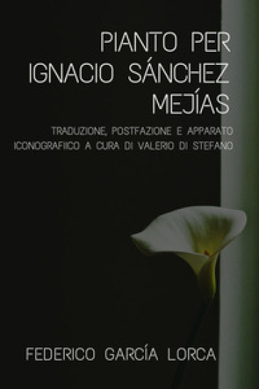 Pianto per Ignacio Sanchez Mejias