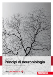 Principi di neurobiologia. Con Contenuto digitale (fornito elettronicamente)