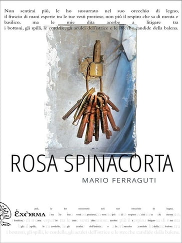 Rosa spinacorta