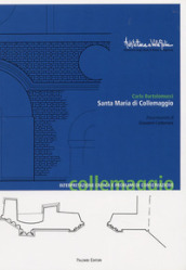 Santa Maria di Collemaggio. Interpretazione critica e problemi di conservazione