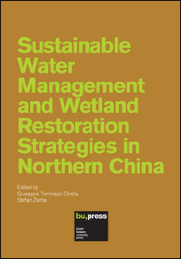 Sustainable water management and wetland restoration strategies in northern China